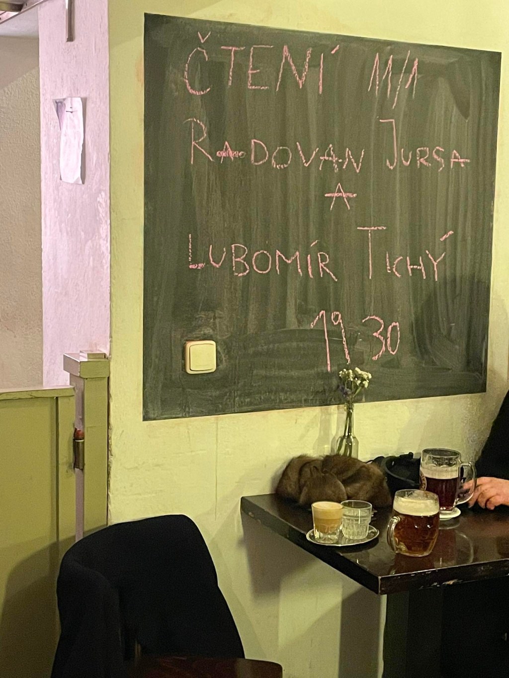 Jezevec žije pomalý život v&nbsp;norách